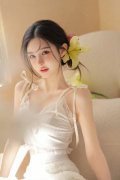 <b>涉嫌犯罪问题移送查察机关依法审查告状</b>